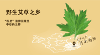 艾草越嫩越好，還是越久越好？悄悄告訴你：艾草這樣用，效果最好！