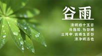 【二十四節(jié)氣灸】谷雨時(shí)節(jié)，用艾為您的健康加上一道保險(xiǎn)！