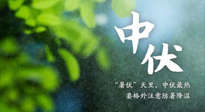 【三伏養(yǎng)生】至熱中伏，吃三樣，喝三樣，三大禁忌千萬別犯，小心落下病根！
