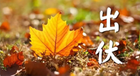 【三伏養(yǎng)生】出伏后做好養(yǎng)生很關(guān)鍵！一行要注意！