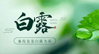 【二十四節(jié)氣灸】白露涼爽，養(yǎng)心肝脾胃、滋陰潤肺是關(guān)鍵！