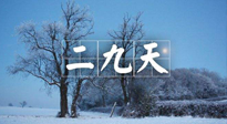【三九養(yǎng)生】冬二九，扶陽(yáng)補(bǔ)腎氣，讓你陽(yáng)氣充足一整年！