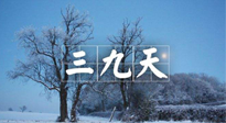 【三九養(yǎng)生】冬三九，三九第三灸，一年中最后艾灸黃金9天！