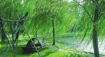 【養(yǎng)生知識(shí)】元宵入六九，春季已至，六九天的養(yǎng)生知識(shí)你知道多少？