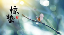 【二十四節(jié)氣灸】驚蟄節(jié)氣，艾灸喚醒抵抗力、補(bǔ)充陽氣的最好時(shí)機(jī)！