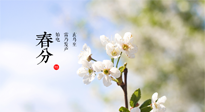 【二十四節(jié)氣灸】春分，平分了大地晝夜；艾灸，平衡了身體陰陽！