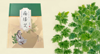 【行業(yè)資訊】國內(nèi)首部艾草專著《南陽艾》，在南陽新書首發(fā)！