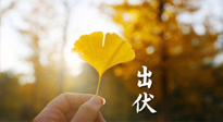 【艾灸三伏天】出伏啦！三防三宜兩穴位，防止身體“秋后算賬”！