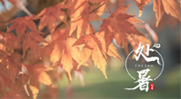 【二十四節(jié)氣灸】處暑，冬病夏治倒計(jì)時(shí)！秋涼真的要來了！