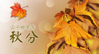 【二十四節(jié)氣灸】秋分節(jié)氣，平衡陰陽(yáng)，巧用艾灸，潤(rùn)燥養(yǎng)肺是關(guān)鍵！
