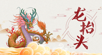 【龍?zhí)ь^】二月二，龍?zhí)ь^，健康養(yǎng)身，為身體打好基礎(chǔ)！