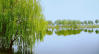 【艾灸知識】春三月，必艾灸穴位：疏肝理氣，養(yǎng)血調(diào)神！