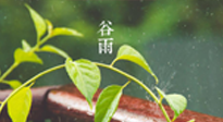 【二十四節(jié)氣灸】谷雨節(jié)氣脾土濕，艾灸降濕濁，脾旺不受邪！