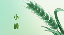 【二十四節(jié)氣灸】小滿節(jié)氣記得艾灸，悠悠長夏，健康度過！