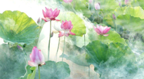 【養(yǎng)生知識】花開半夏，夏至養(yǎng)生，這些知識一定要牢記！