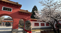 【行業(yè)資訊】新華財(cái)經(jīng)：守正創(chuàng)新，中醫(yī)藥品牌化發(fā)展“更上一層樓”！