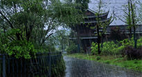 【艾灸知識】多雨的日子里，艾灸會不會加重濕氣呢？