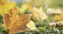 【節(jié)氣養(yǎng)生】甲辰立秋，“2做”、“2不做”，護(hù)好我們身體的正氣，預(yù)防外邪的侵襲！