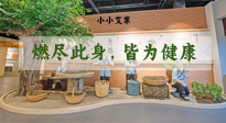 【艾草知識】小小艾草，渾身是寶，一生燃盡此身，皆為健康！